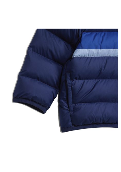 Adidas LK SD Synthetic Hooded Jacket Blue Infant ADIDAS CORE | Jackets | JL7392-